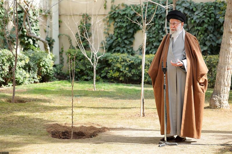 Final tree-planting on March 5, 2025