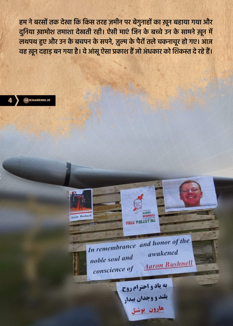 gallery item 003.png