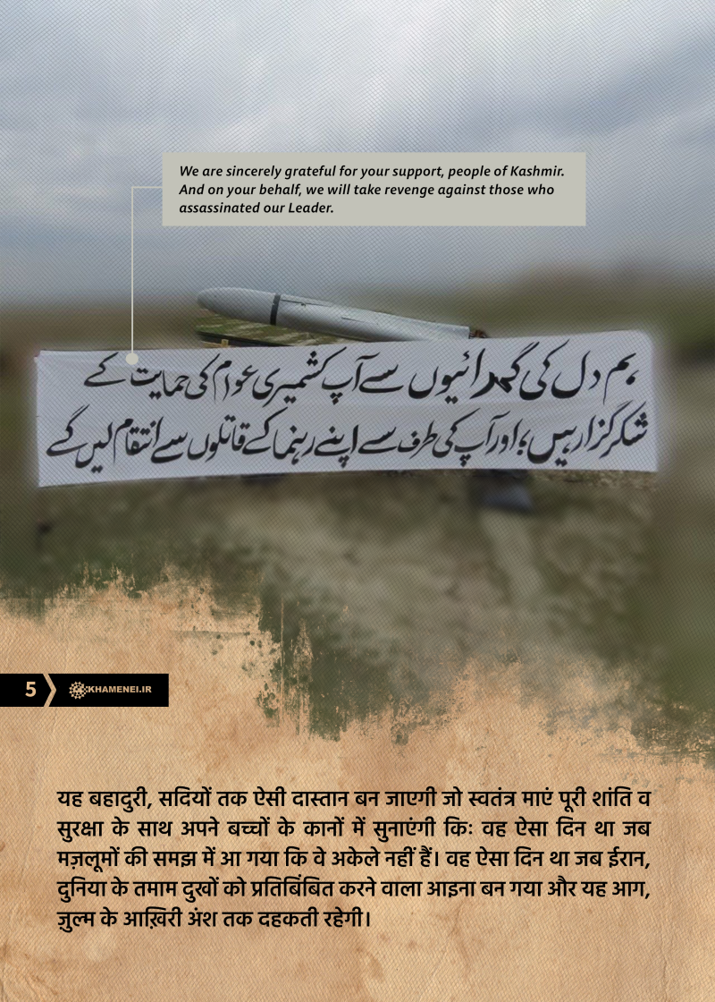 gallery item 004.png