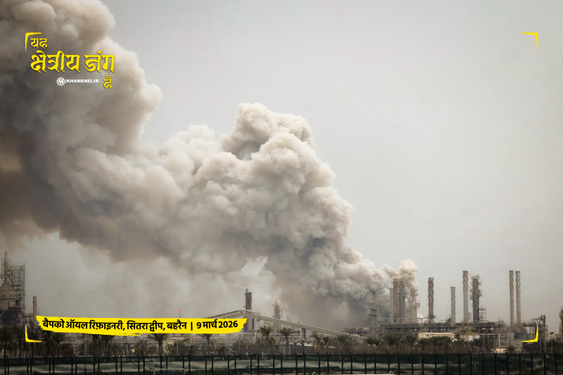 gallery item 08_jng_mntqh_ay.png