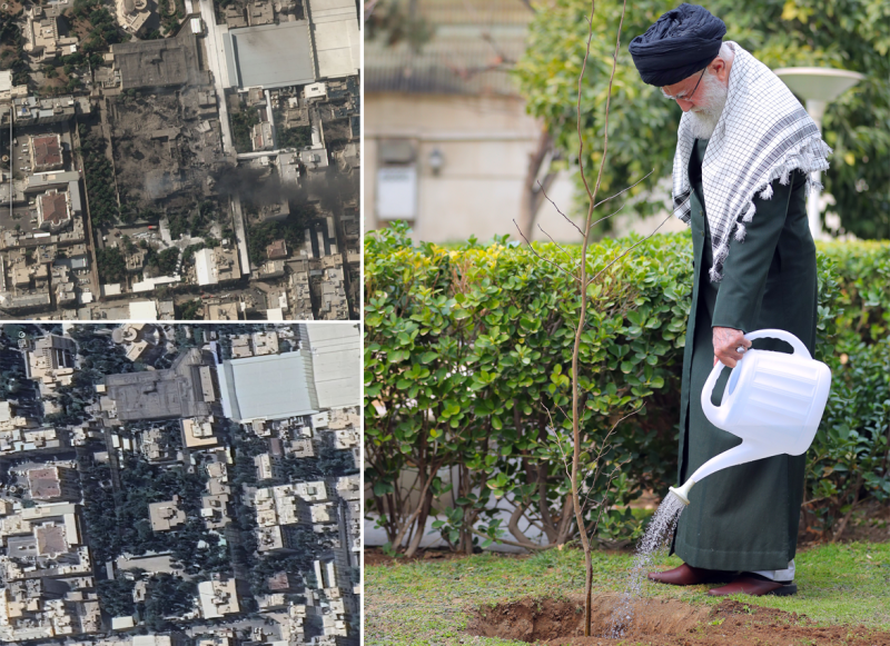 gallery item El Jardín verde de la casa del Lider.png