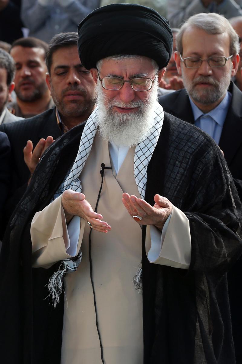 gallery item shhyd_dktr_ly_laryjany_2.jpg