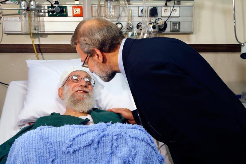 gallery item shhyd_dktr_ly_laryjany_3.jpg