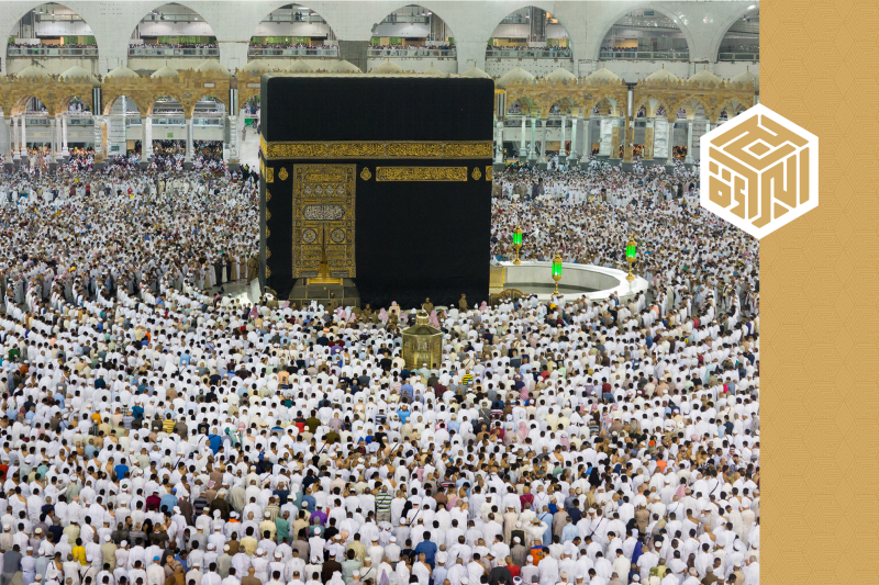 gallery item pic-34875-1718291437.png