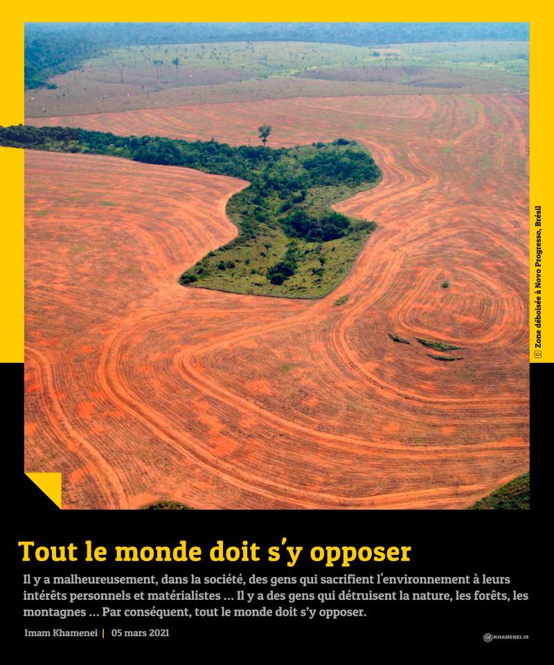 gallery item pic-35215-1686070698.jpg