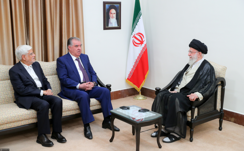 gallery item pic-35253-1722324691.png