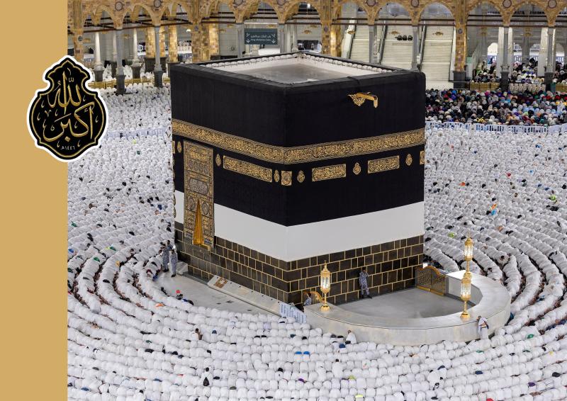 gallery item pic-39067-1749102037.jpg