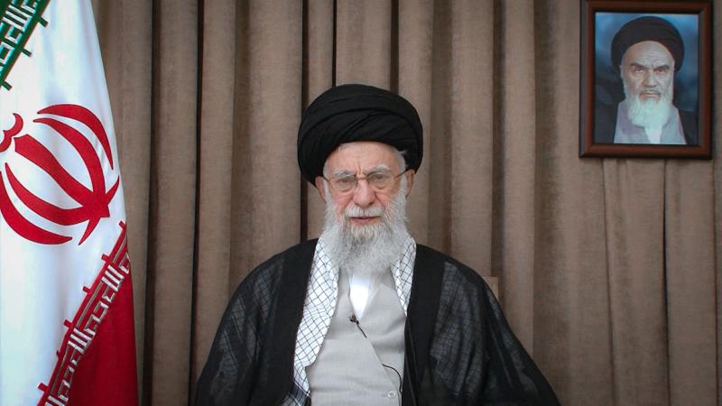 gallery item pic-39300-1750967175.jpg