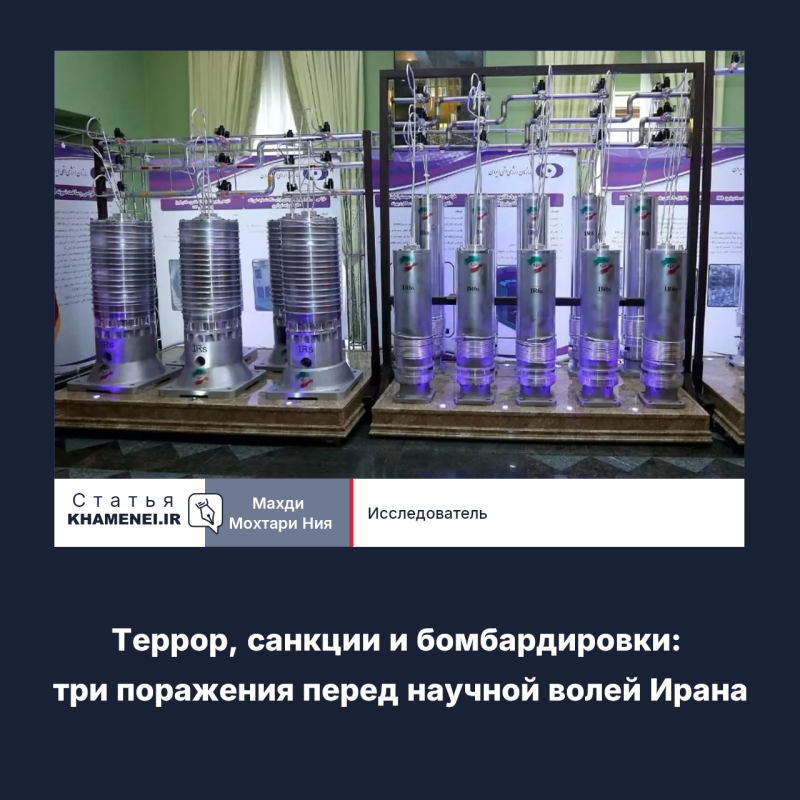 gallery item pic-40100-1760185760.png