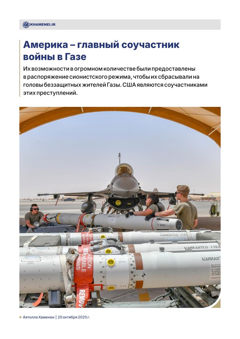 gallery item pic-40222-1761048497.jpg