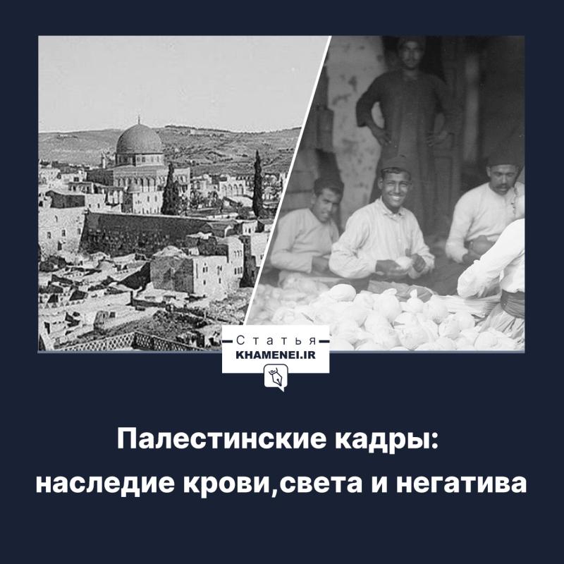 gallery item pic-40290-1761559442.jpg