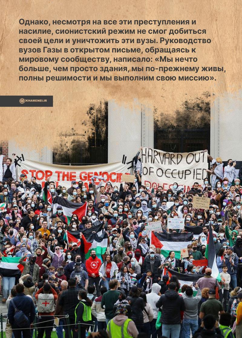 gallery item pic-40609-1763367449.jpg