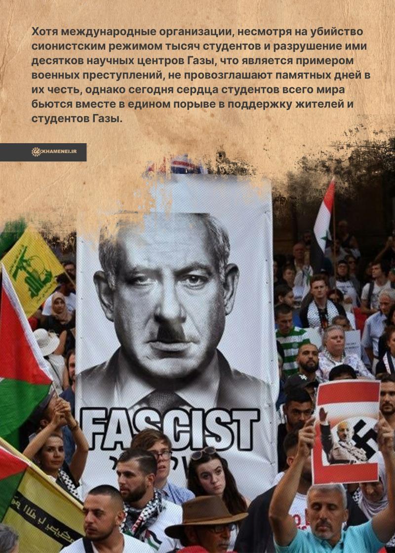 gallery item pic-40610-1763367449.jpg