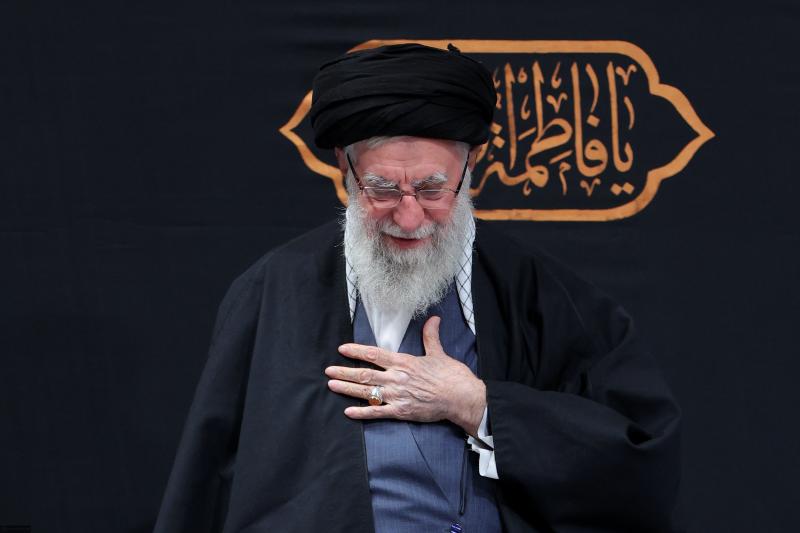 gallery item pic-40647-1763840222.jpg