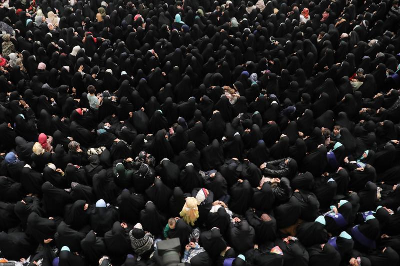 gallery item pic-40862-1764796994.jpg