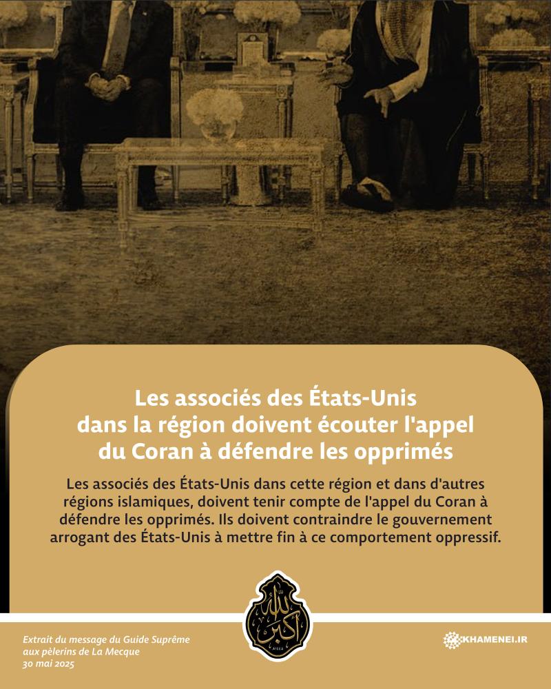 gallery item pic-41144-1749207693.jpg
