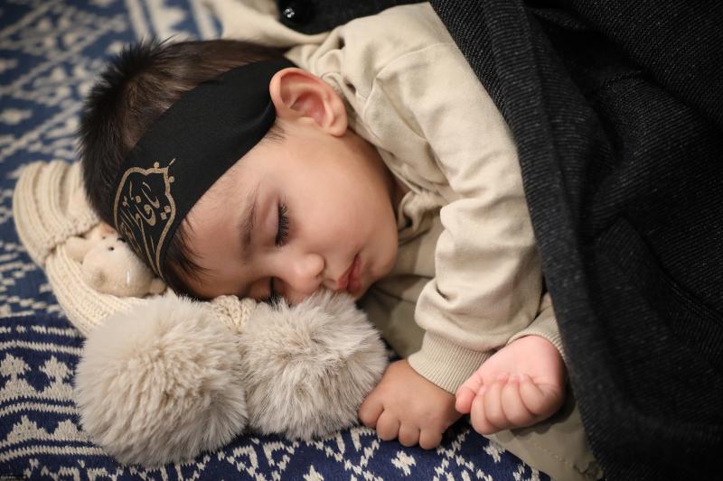 gallery item pic-55794-1764159186.jpg