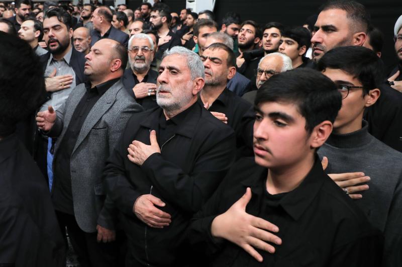 gallery item pic-56074-1764364804.jpg