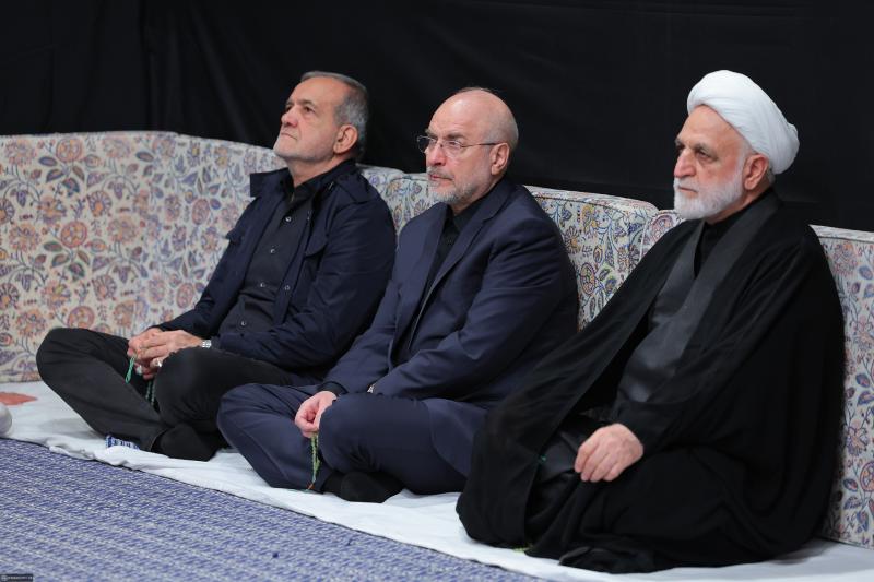 gallery item pic-56133-1764366125.jpg