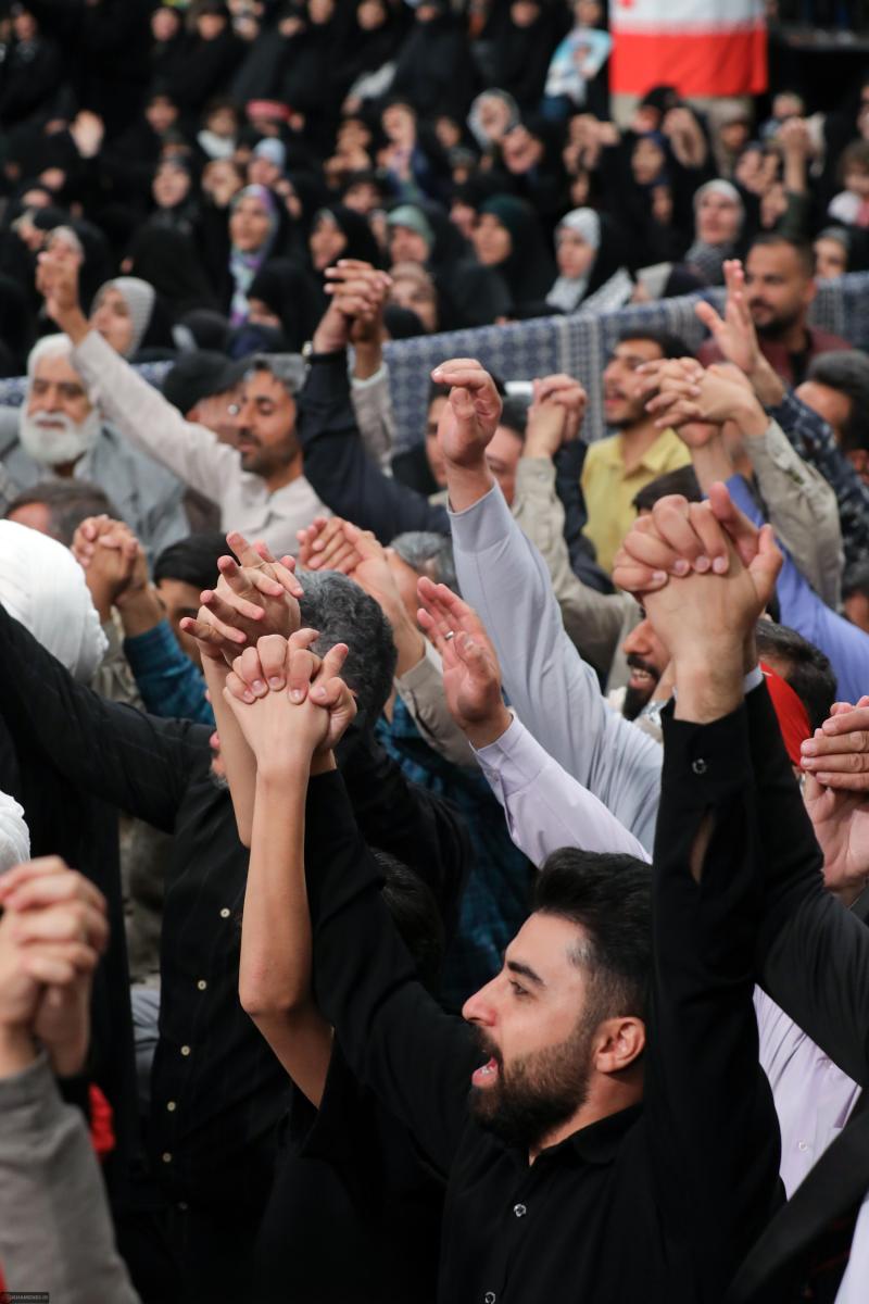 gallery item pic-70182-1759842648.jpg