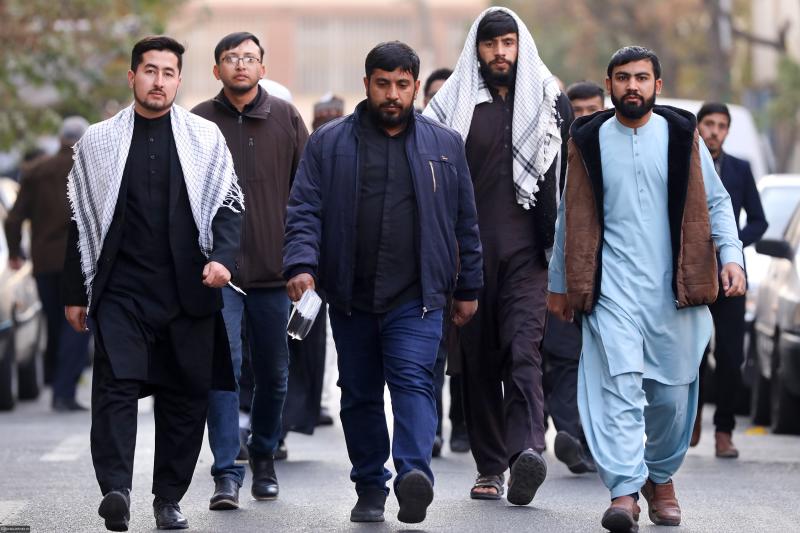 gallery item pic-70772-1763889666.jpg